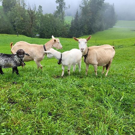 Ausblickhof Geiger Leilighet Egg Eksteriør bilde