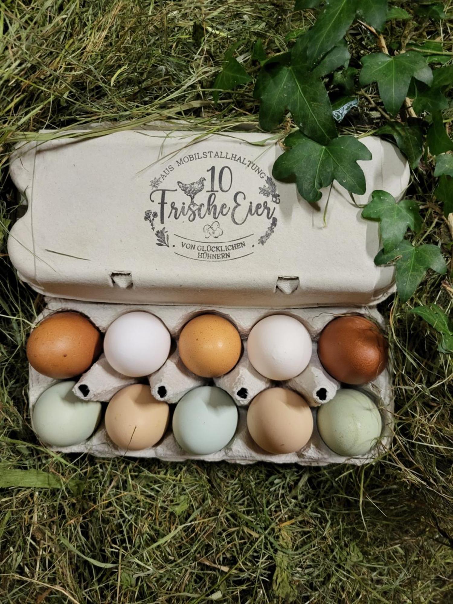 Ausblickhof Geiger Leilighet Egg Eksteriør bilde